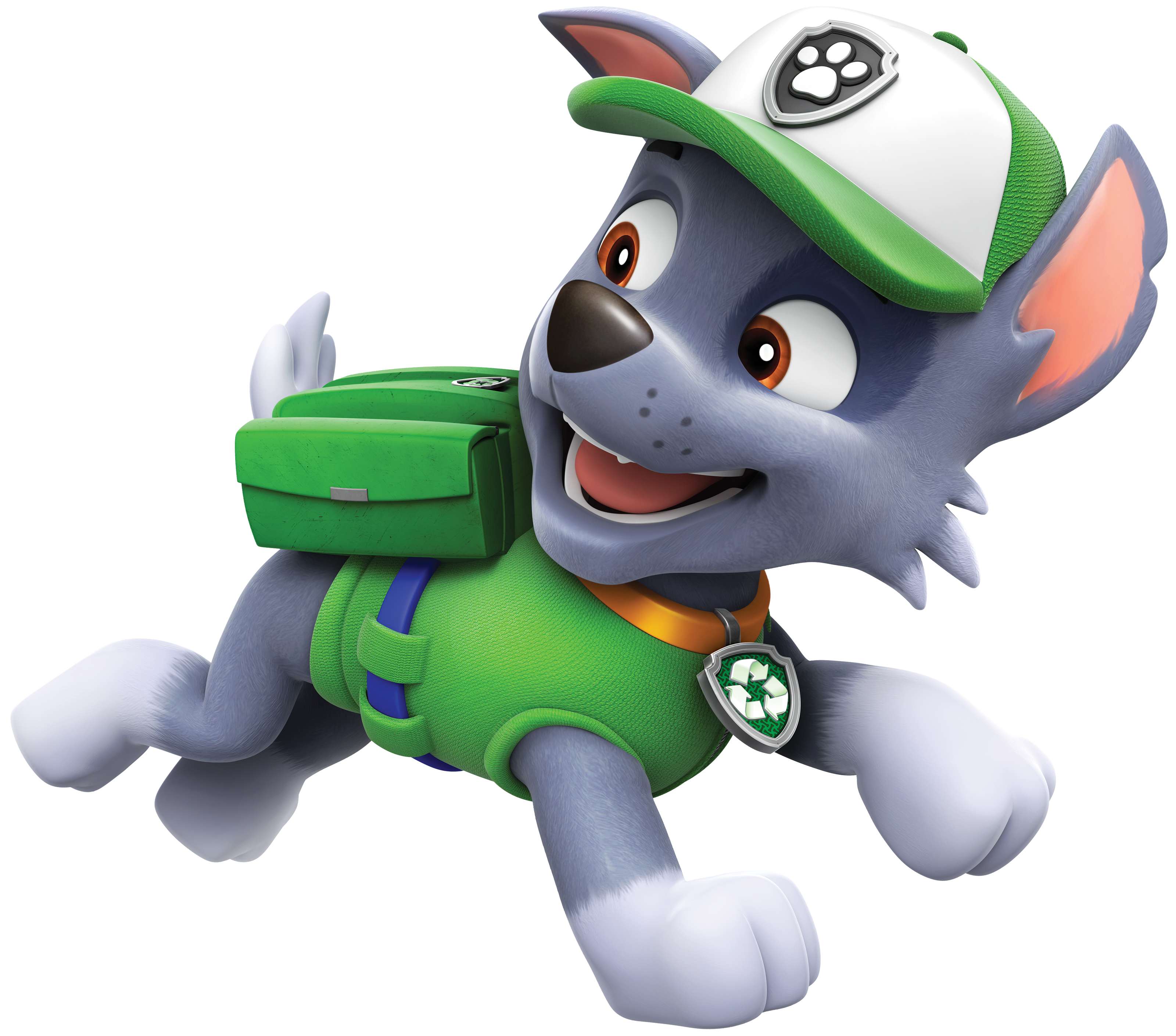 Cachorro Rocky Patrulha Desenho Animado Png Grátis Para Baixar Vetor