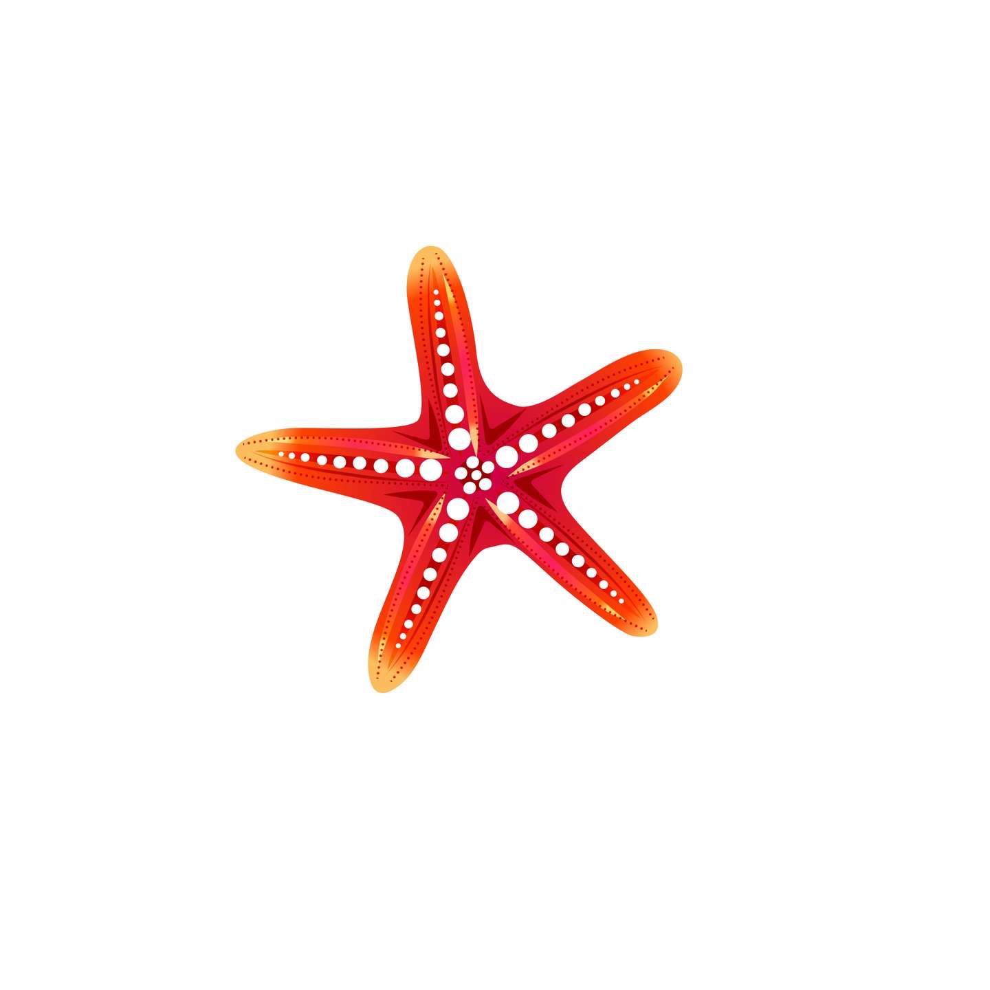 Elemento Ariel Pequena Sereia Png (21)