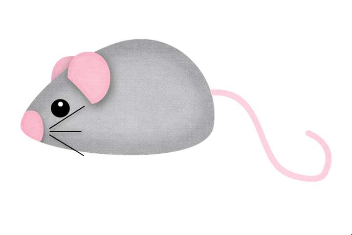 Elementos Gatinhos Gatos Png (7)