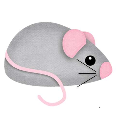 Elementos Gatinhos Gatos Png (10)