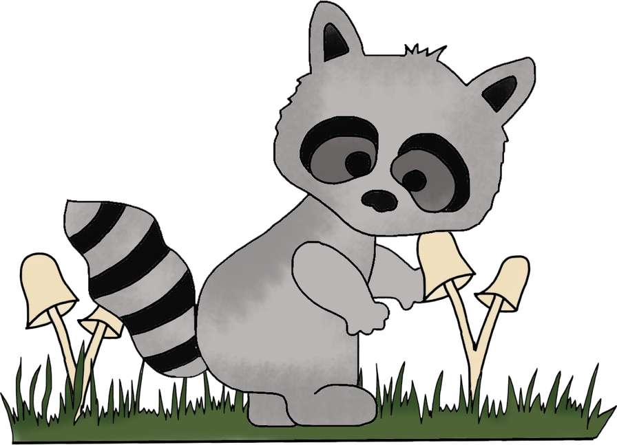 Elemento Guaxinim Fofo Cute Png (3)