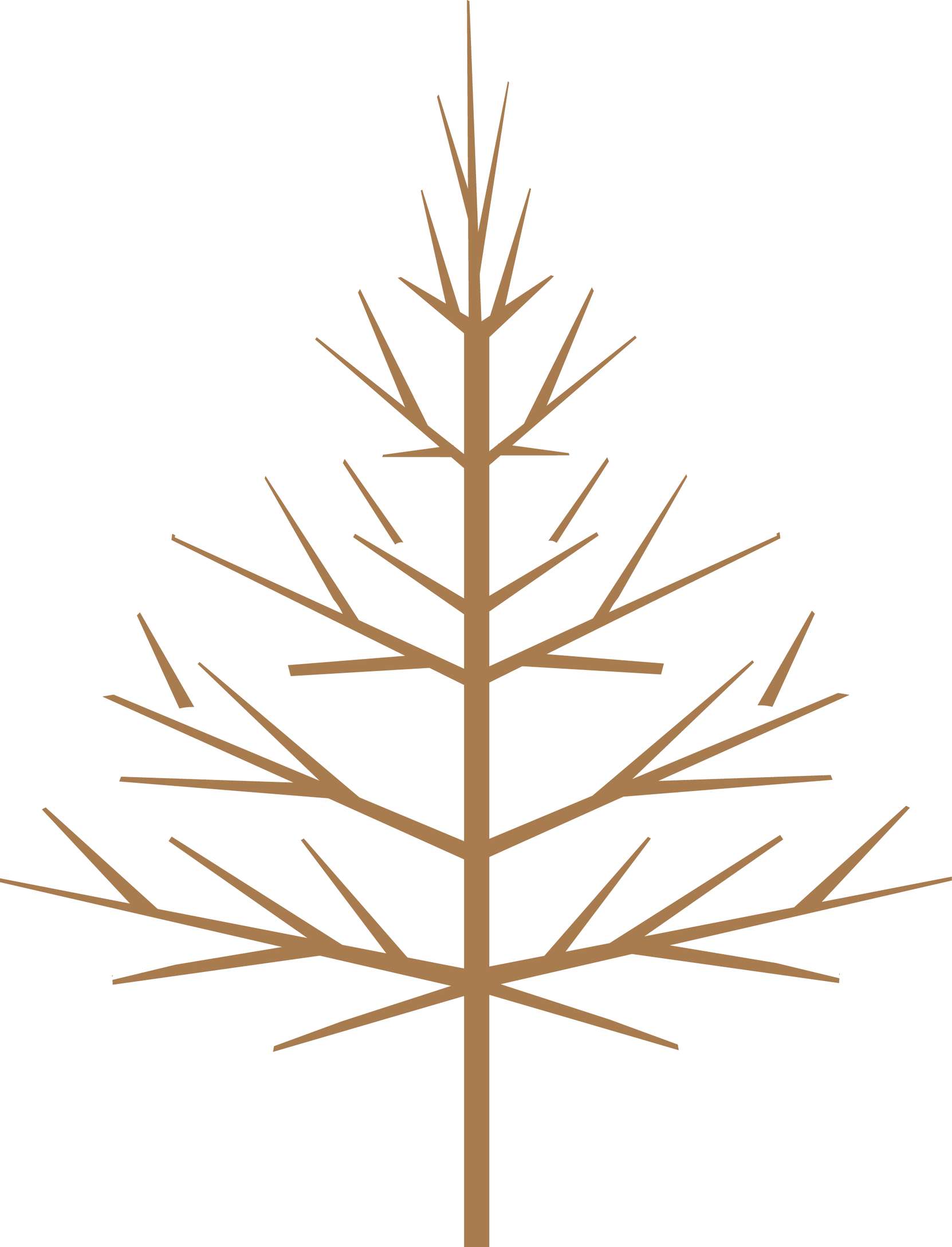 Galho Decorativo Com Folhas Brancas Plantas Png Grátis Para Baixar