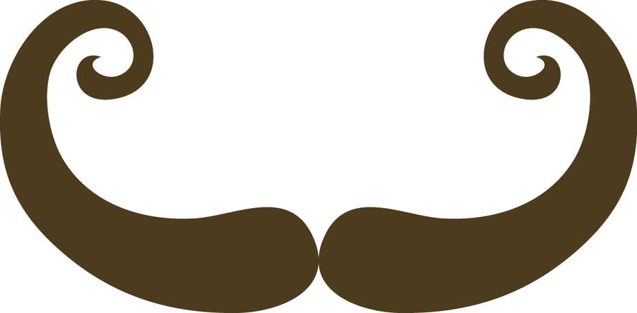 Ornamentação Decorativa Estilizada Design Gráfico Png Grátis Para Baixar