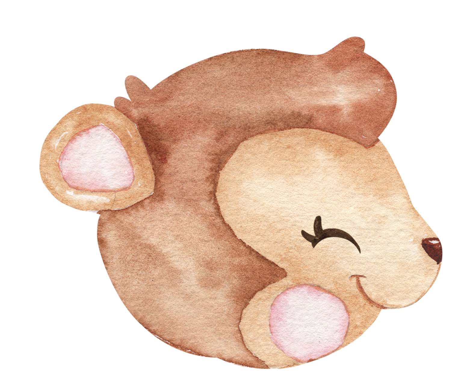 Ursinho Cartoon Marrom Animais Png Grátis Para Baixar