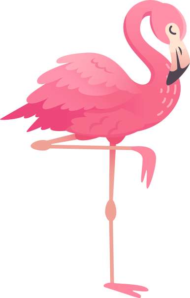 Elemento Flamingo Rosa Png (8)