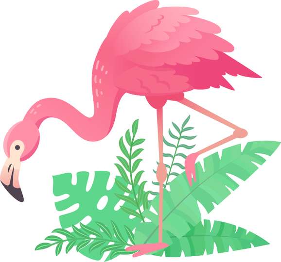 Elemento Flamingo Rosa Png (11)