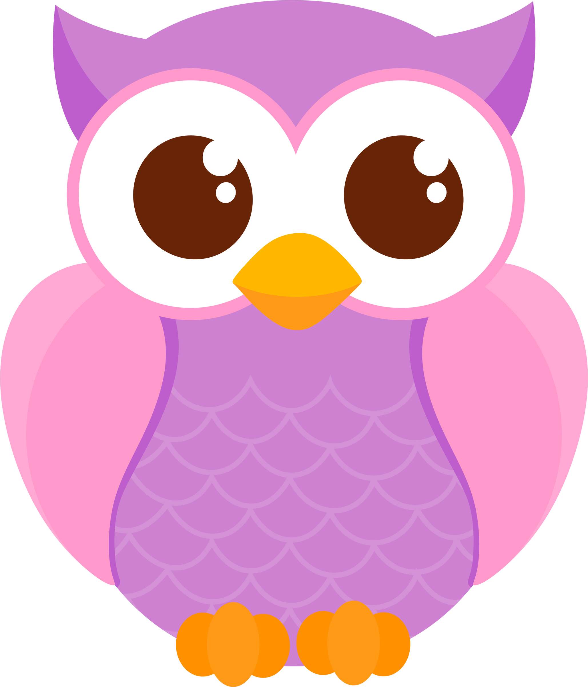 Elemento Coruja Png (77)