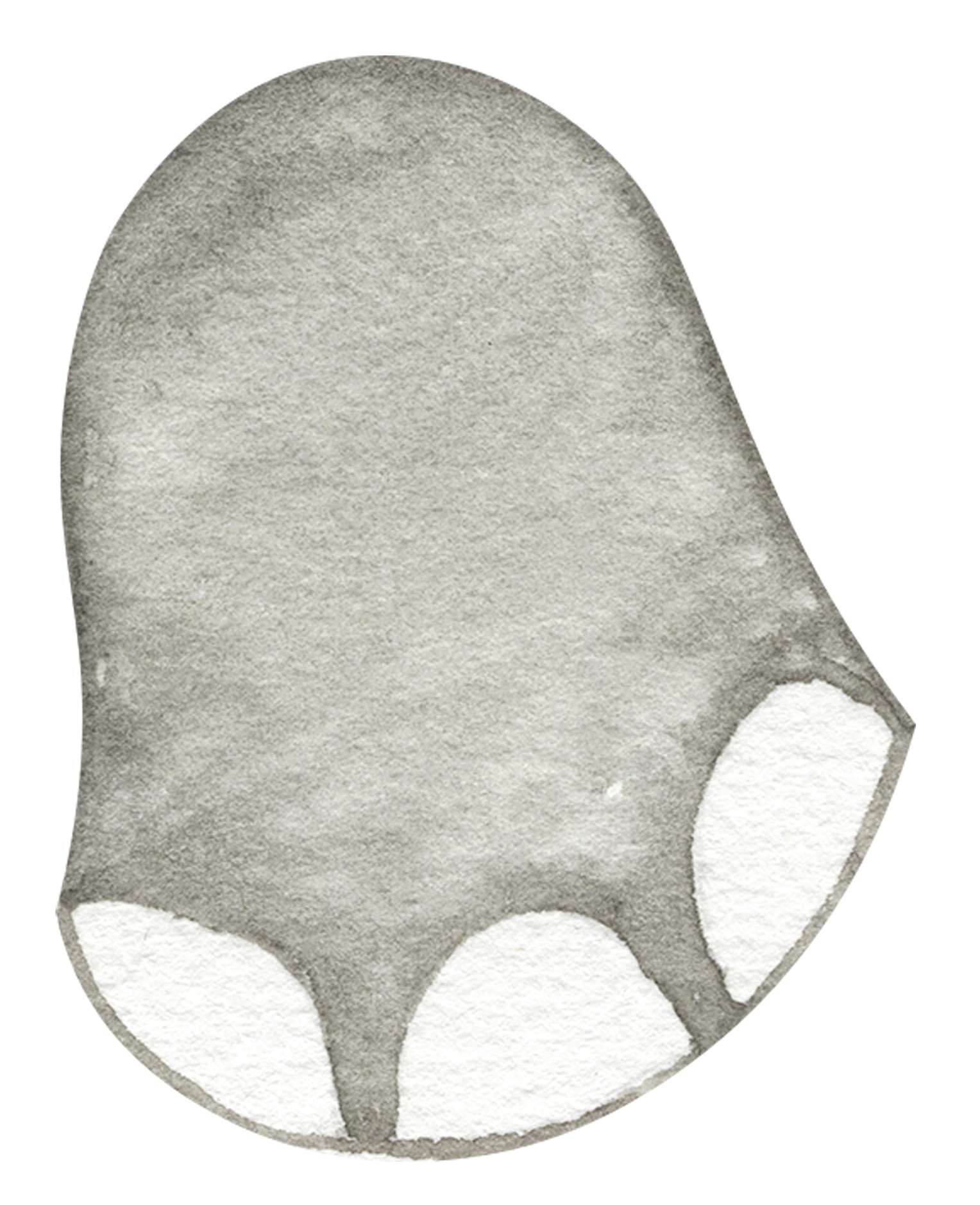 Estrutura Anal E Retal Anatomia Png Grátis Para Baixar