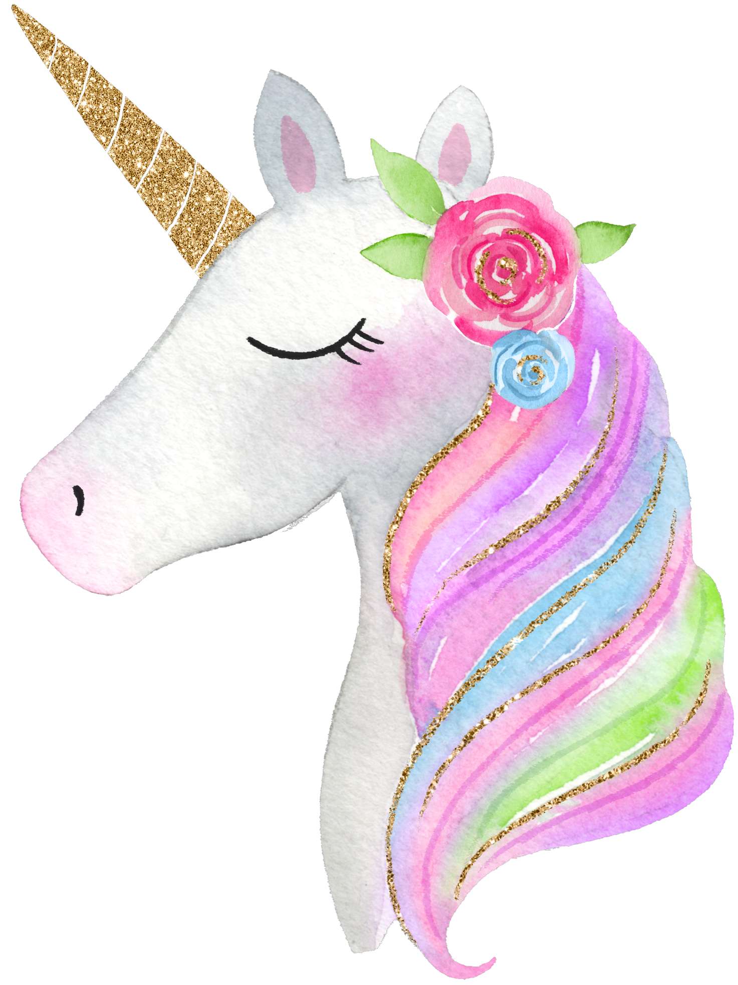 Personagem Unicornio Png (2)