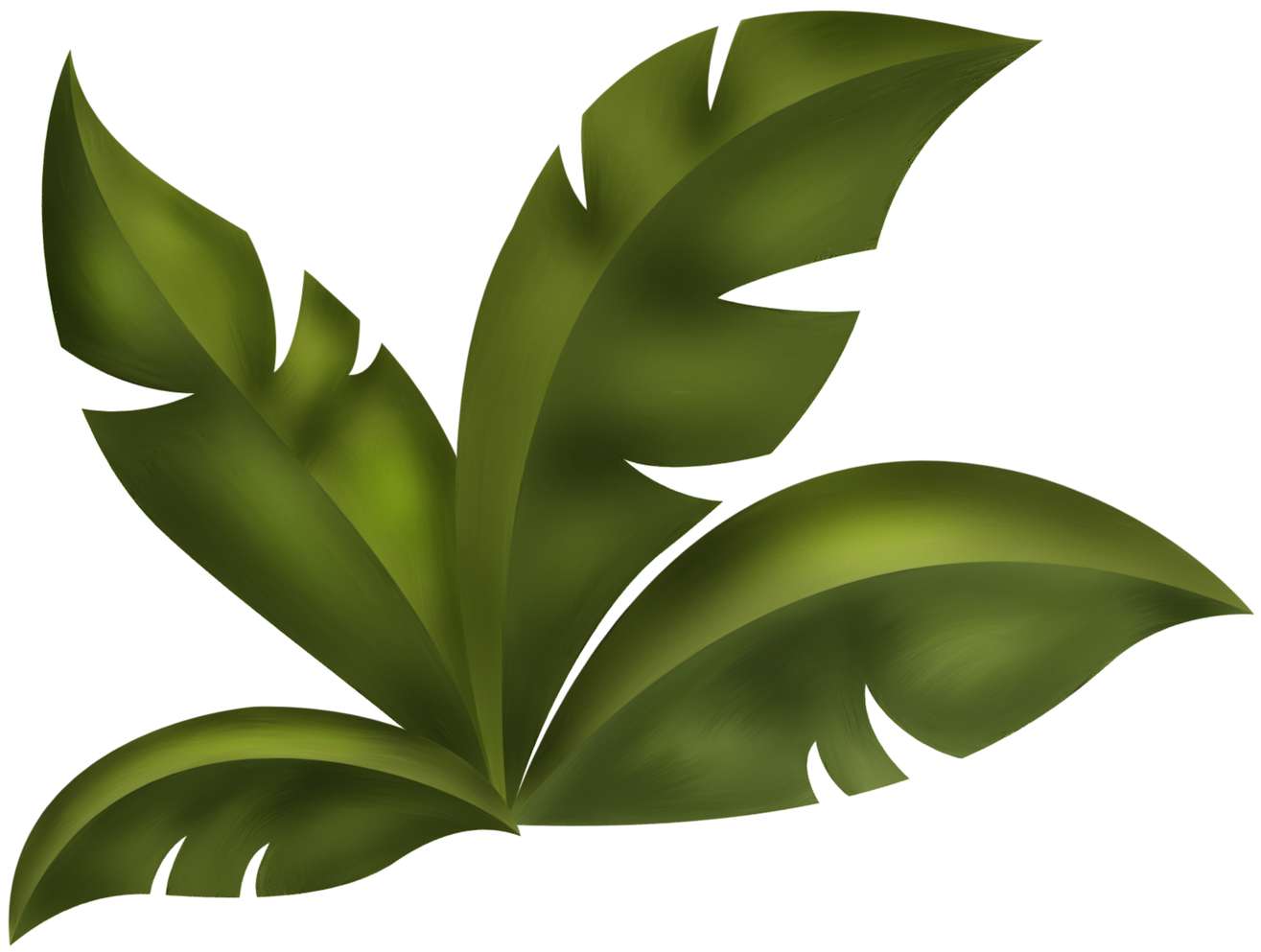 Foliagem Tropical Luxuriante Natureza Png Grátis Para Baixar