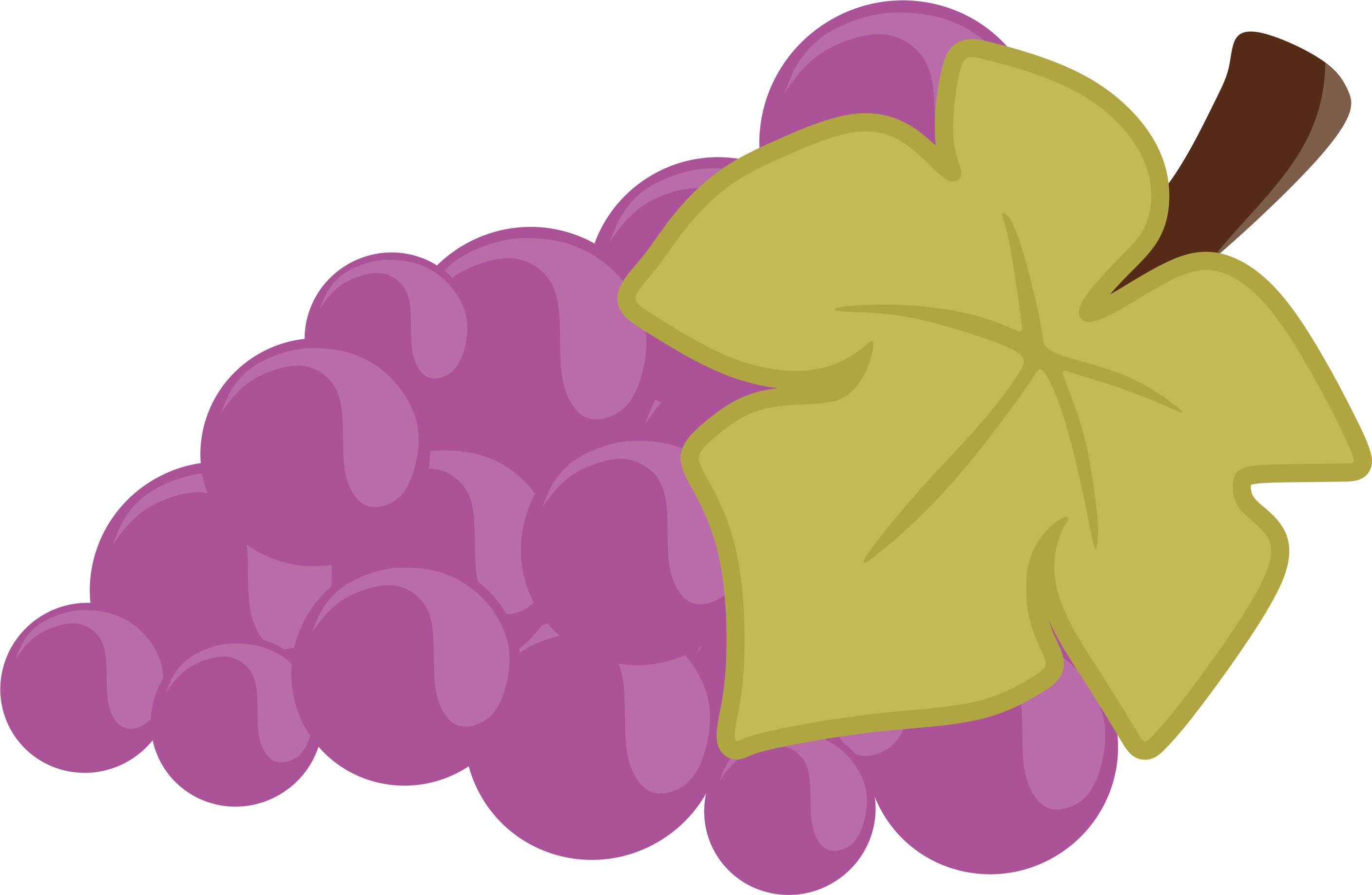 Cacho De Uvas E Folha Frutas Png Grátis Para Baixar