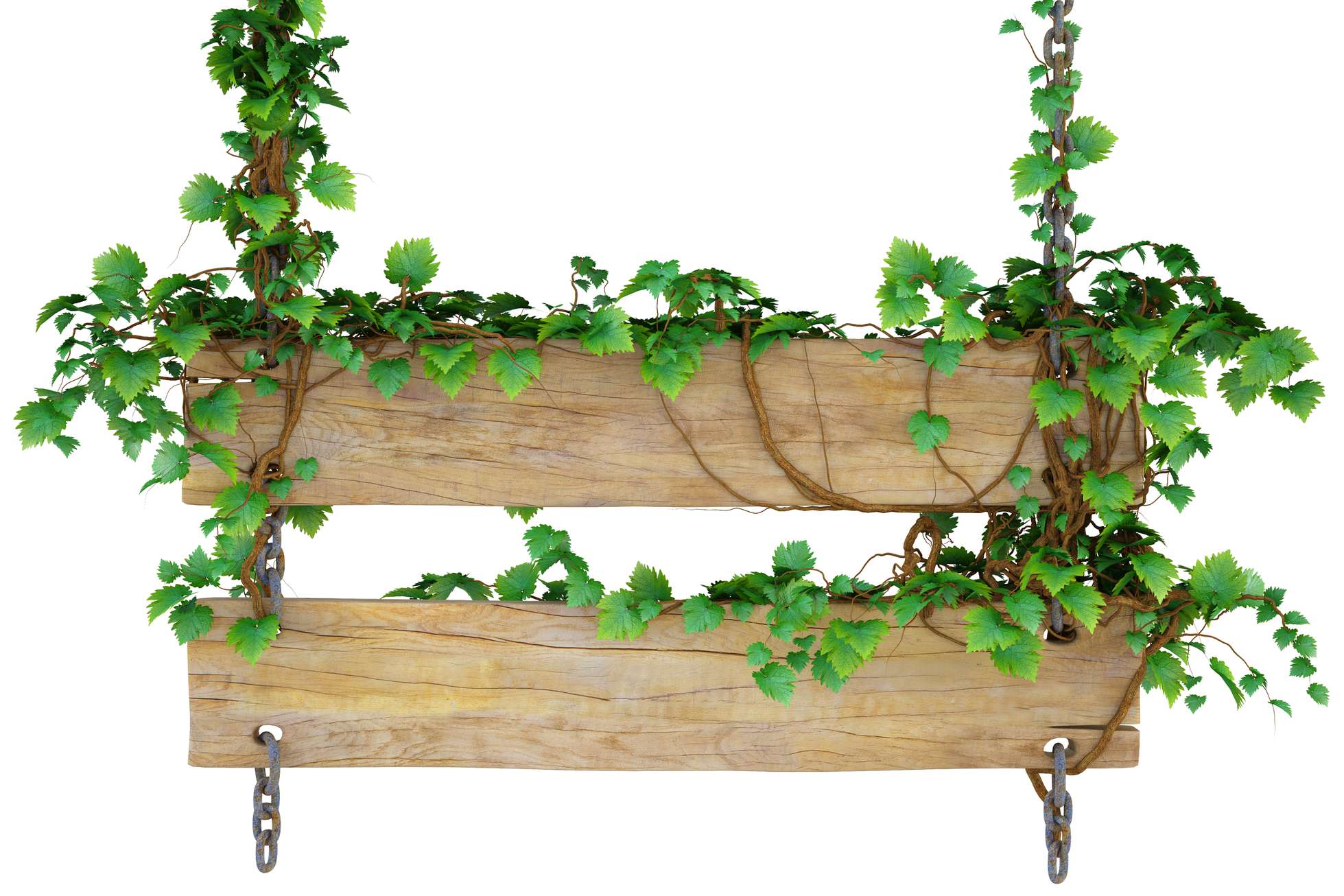 Prateleira Rústica Com Vinhas Natureza Png Grátis Para Baixar