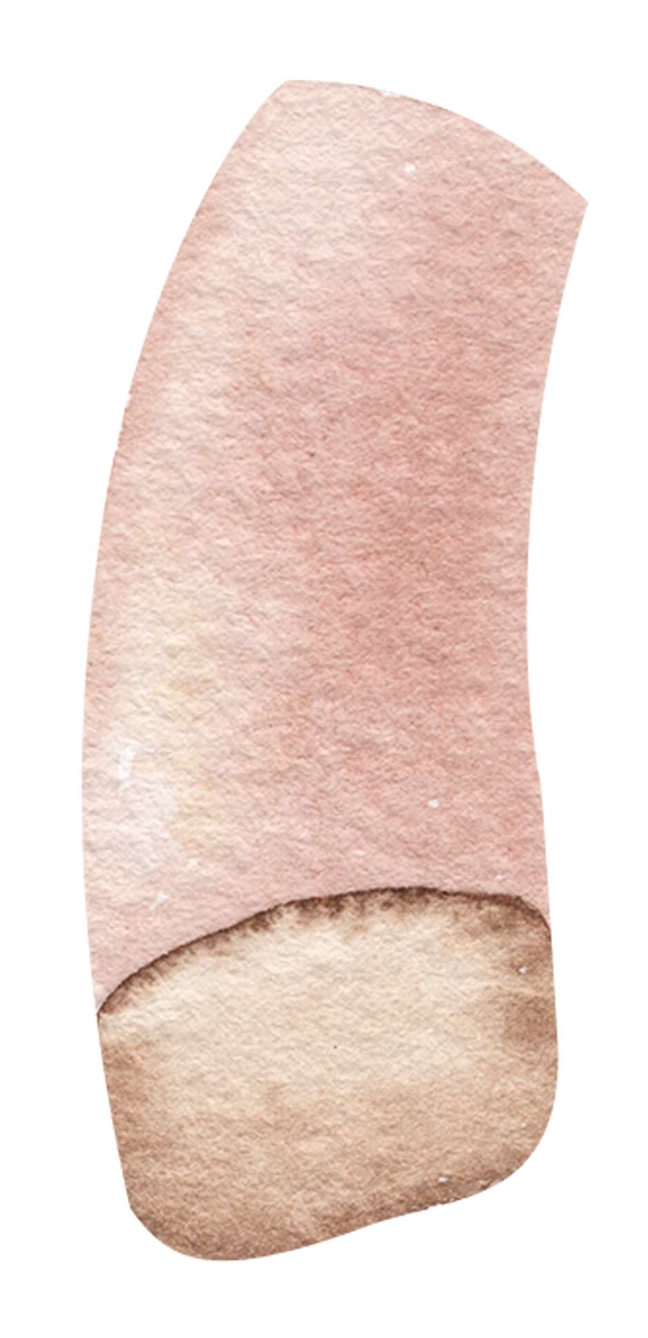 Dedo Humano Com Tonalidade De Pele Anatomia Png Grátis Para Baixar