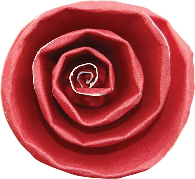 Rosa Vermelha Em Close Up Flores Png Grátis Para Baixar