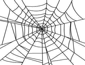 Teia De Aranha Detalhada Natureza Png Grátis Para Baixar
