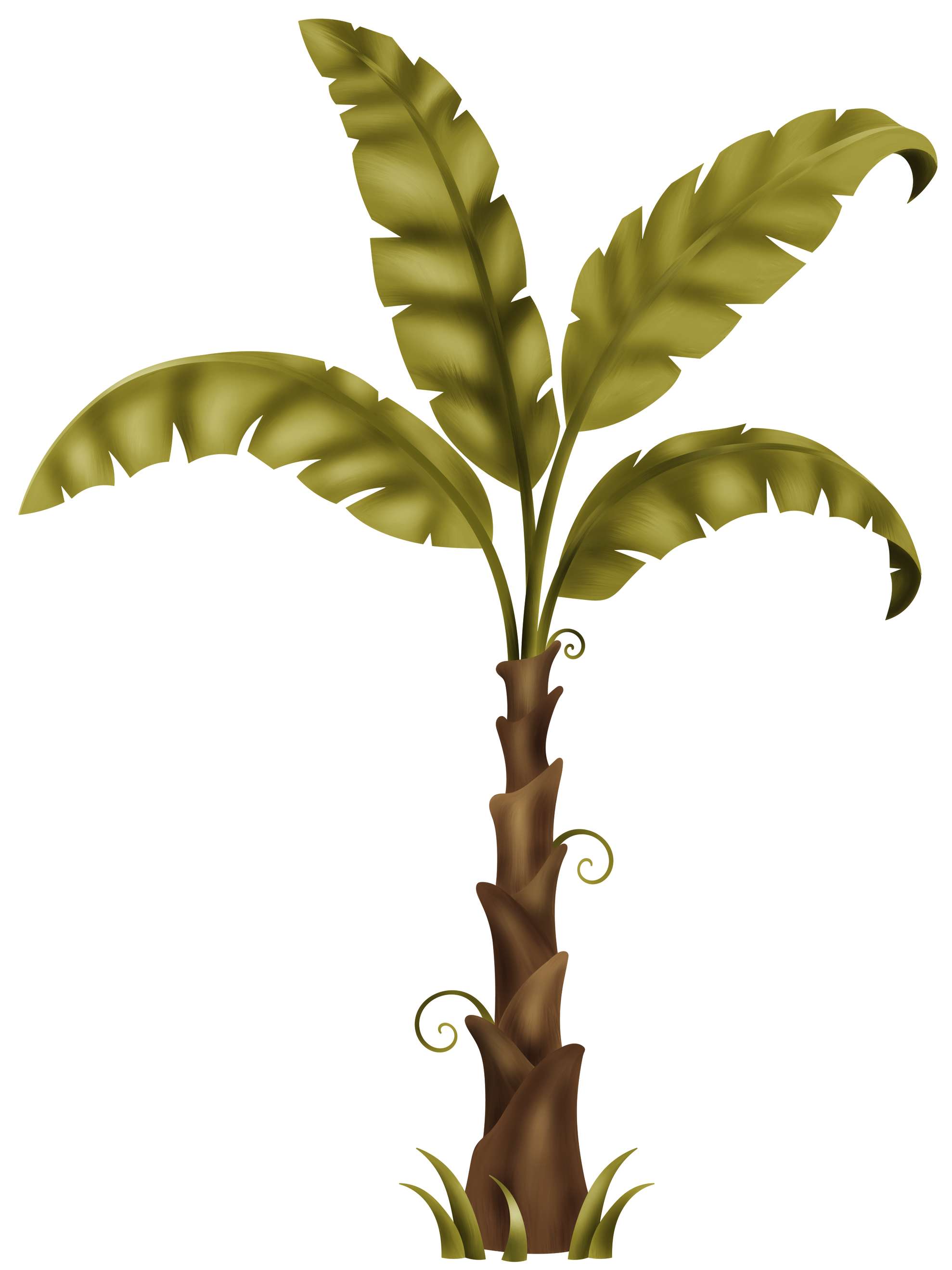 Palmeira Tropical Verde Plantas Png Grátis Para Baixar