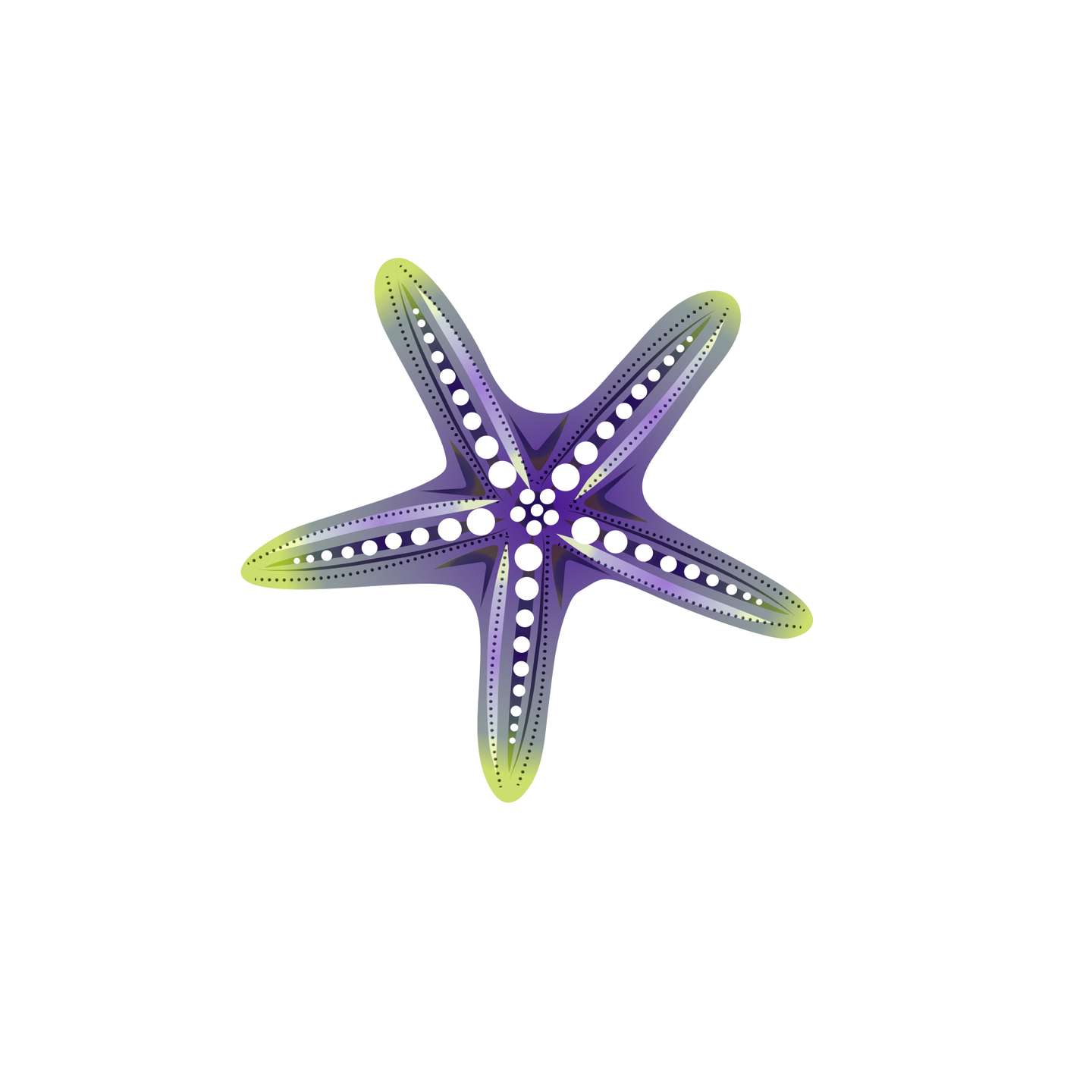 Elemento Ariel Pequena Sereia Png (14)