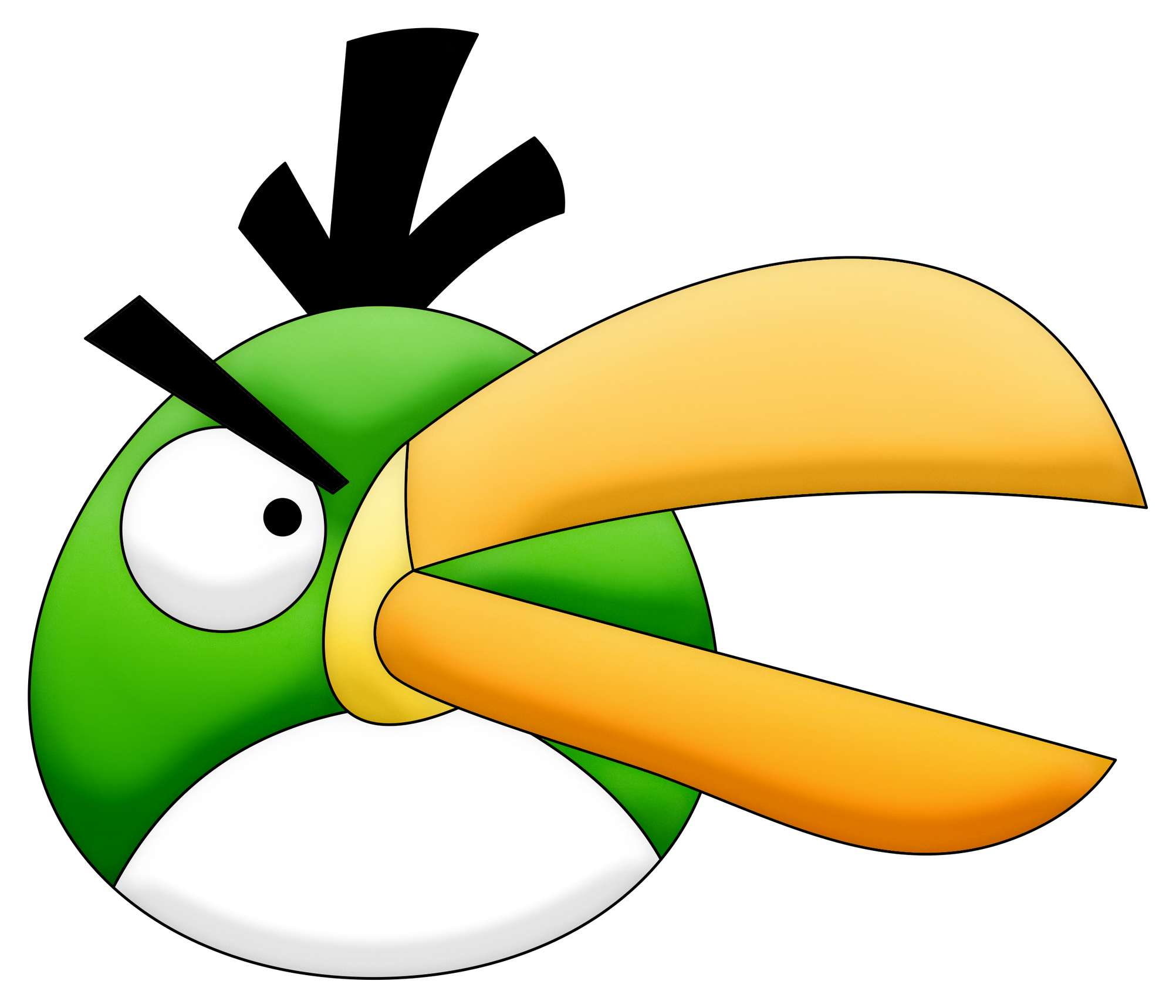 Pássaro Tropical Cartunesco Verde Animais Png Grátis Para Baixar