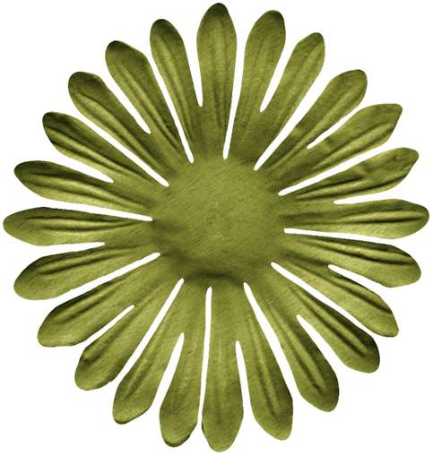 Flor Radiante Tropical Flores Png Grátis Para Baixar