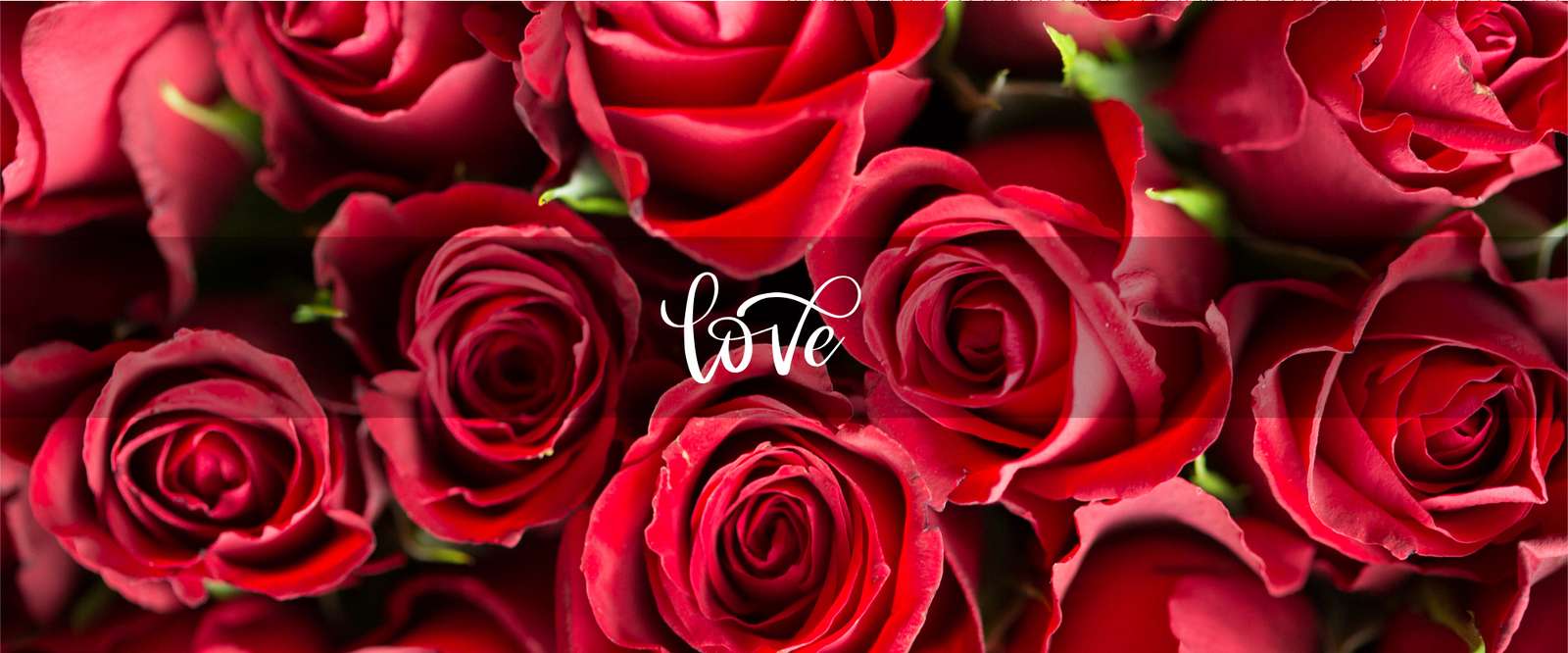 Rosas Vermelhas Com Texto Love Flores Png Arte Para Caneca Grátis Pra Baixar
