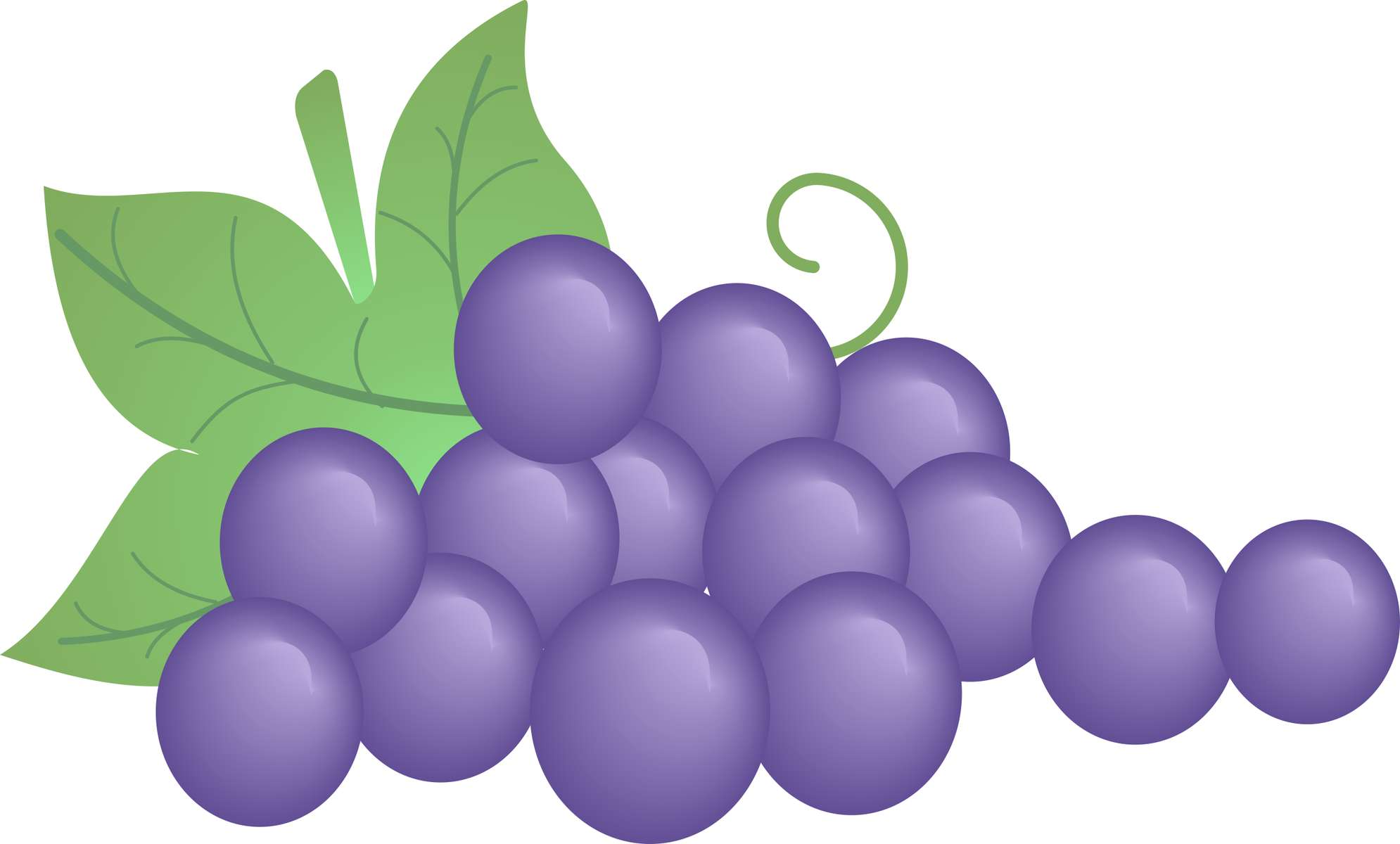 Cacho De Uvas Roxas Frutas Png Grátis Para Baixar Arte