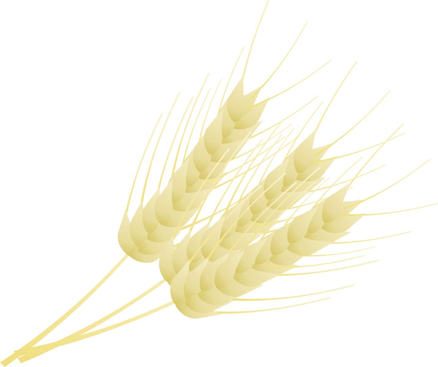 Feixes De Espiga De Trigo Grãos Png Grátis Para Baixar