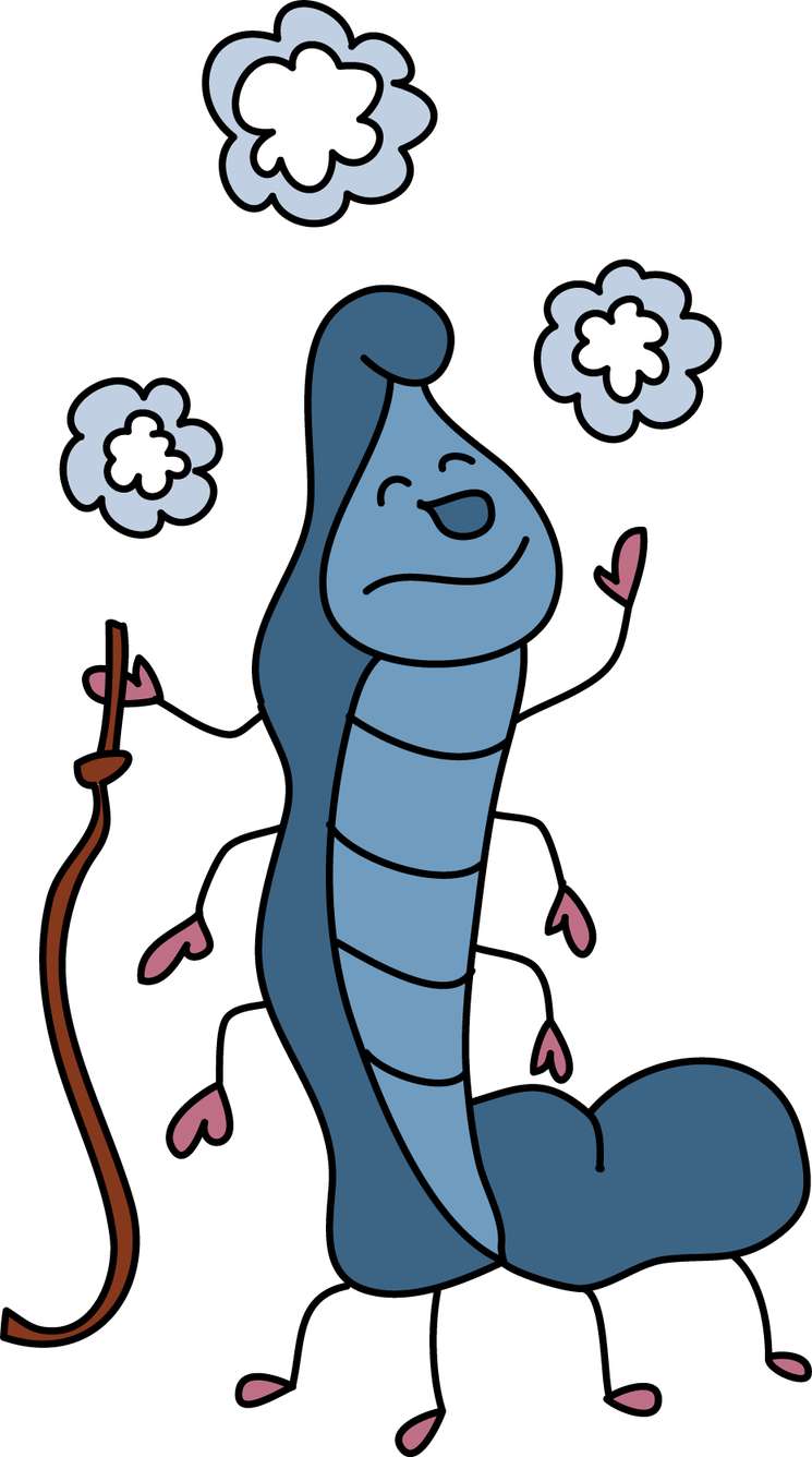 Elemento Alice No País Das Maravilhas Png (138)