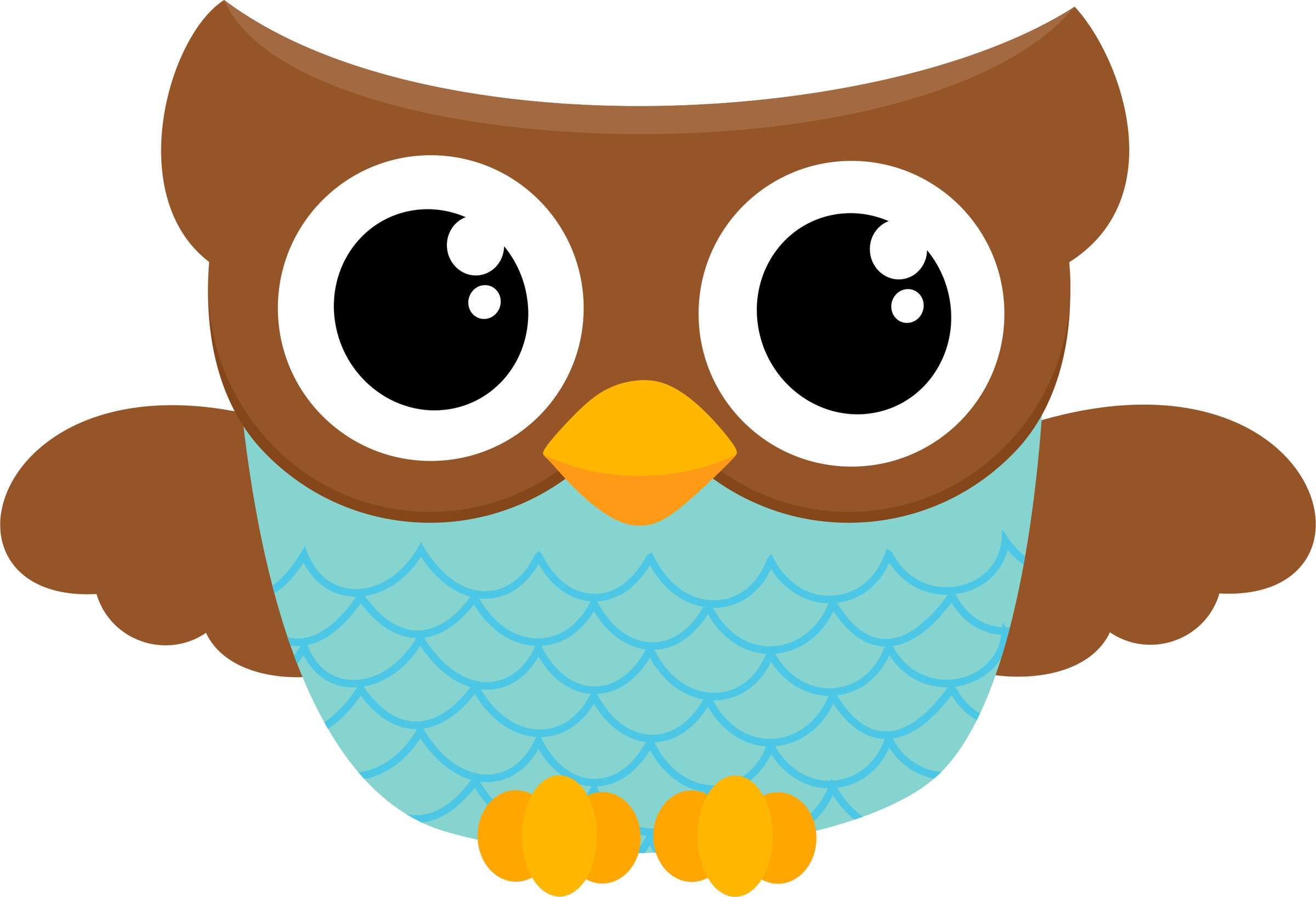 Elemento Coruja Png (83)