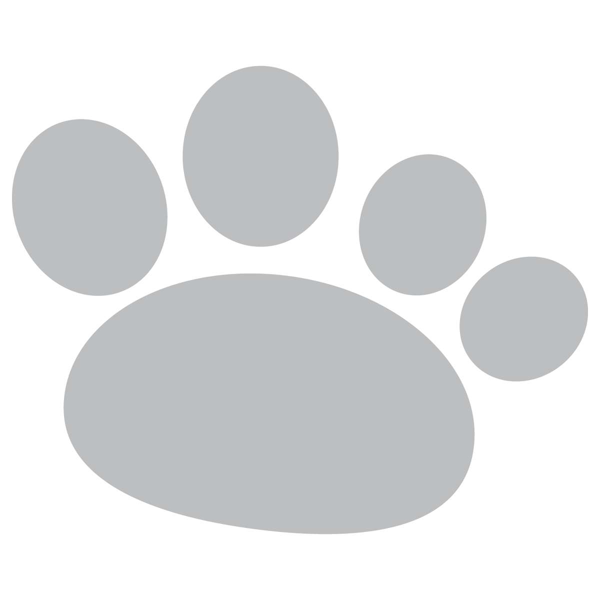 Elementos Gatinhos Gatos Png (29)