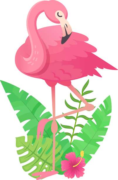 Elemento Flamingo Rosa Png (7)