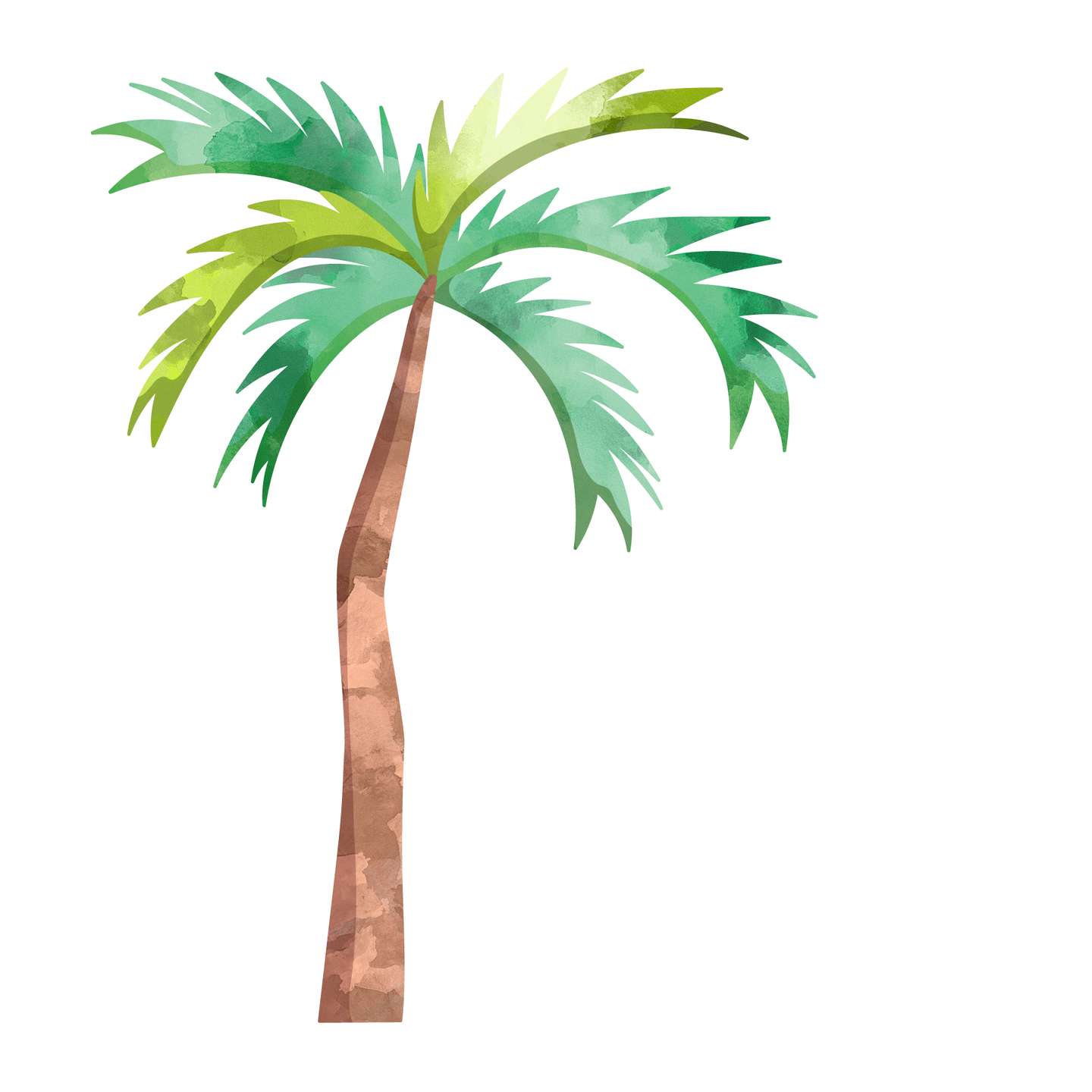 Palmeira Tropical Desenhada Natureza Png Grátis Para Baixar