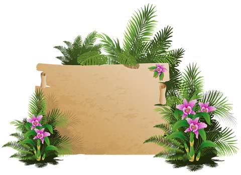 Moldura De Pergaminho Tropical Natureza Png Grátis Para Baixar