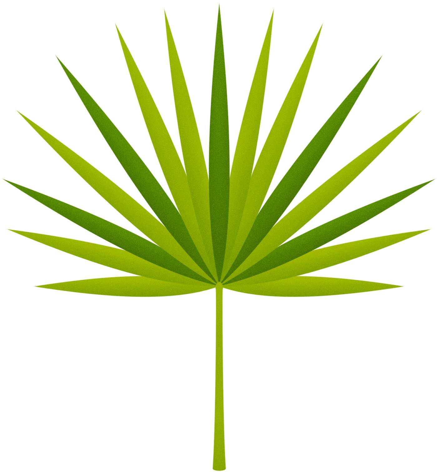 Elementos Folhas Verão Litoral Praia Png (2)