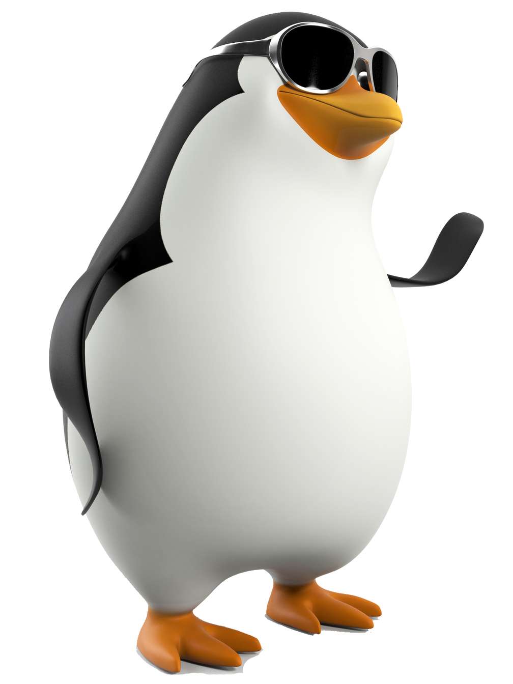 Pinguim Oculos