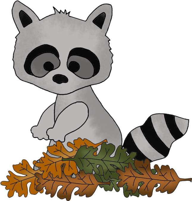 Elemento Guaxinim Fofo Cute Png (2)