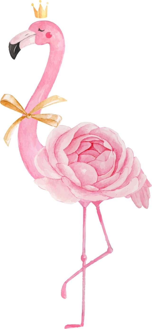 Elemento Flamingo Rosa Png (4)