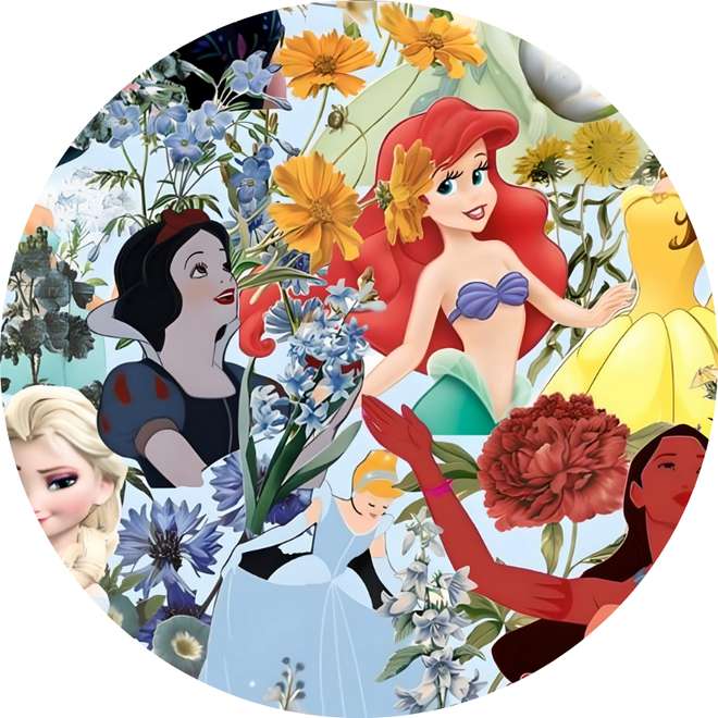 Ilustração Circular De Princesas Da Disney Com Flores Princesas Png Arte Para Caneca Grátis Pra Baix