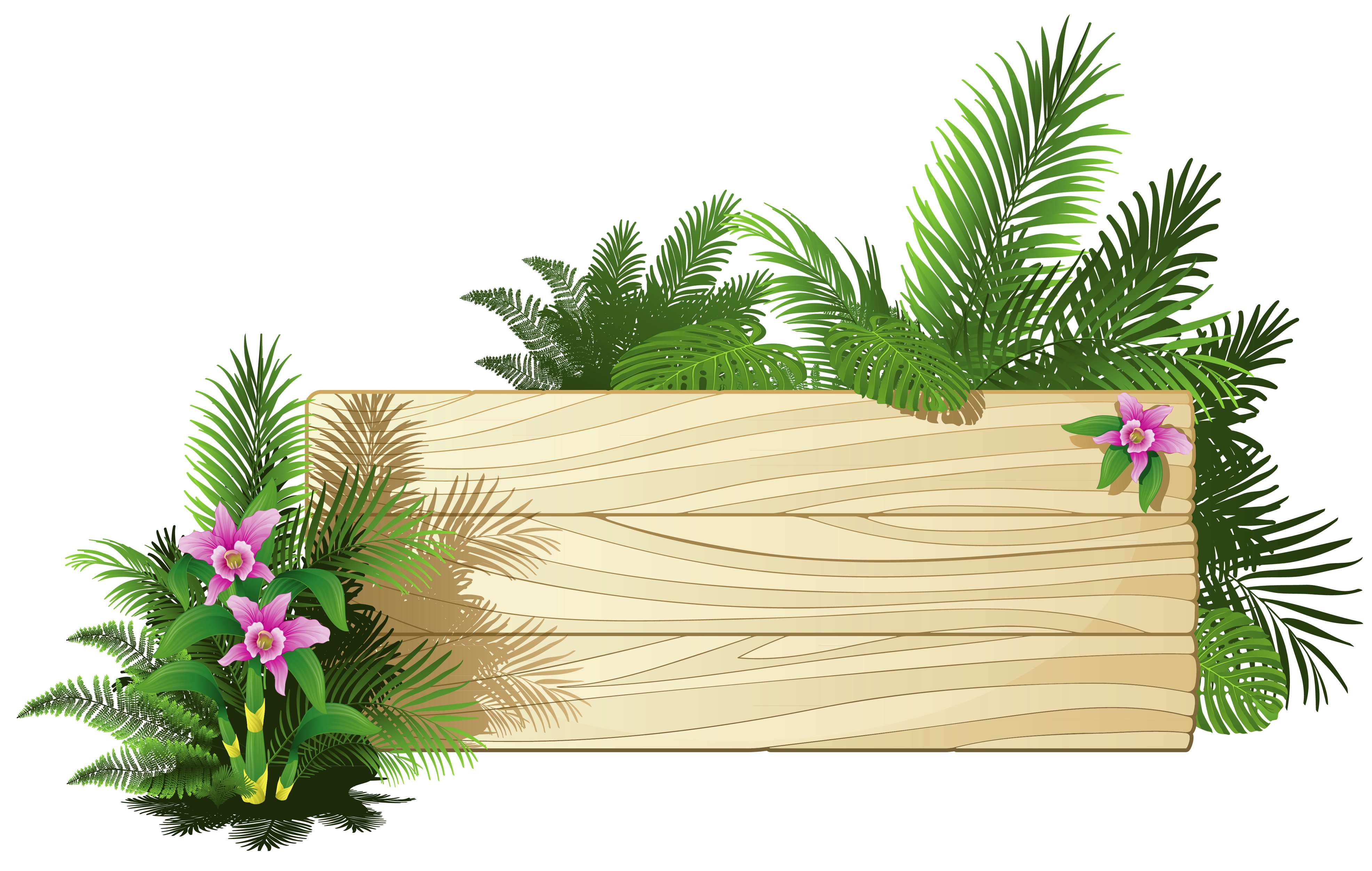 Arranjo Tropical Em Madeira Rústica Natureza Png Grátis Para Baixar