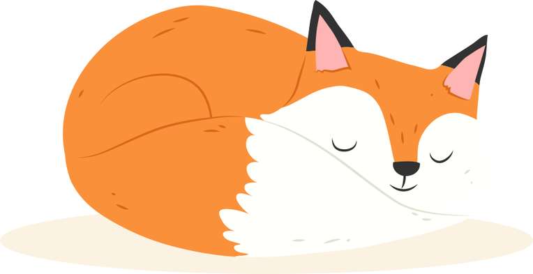 Raposa Raposinha Cute Fofo Png (5)